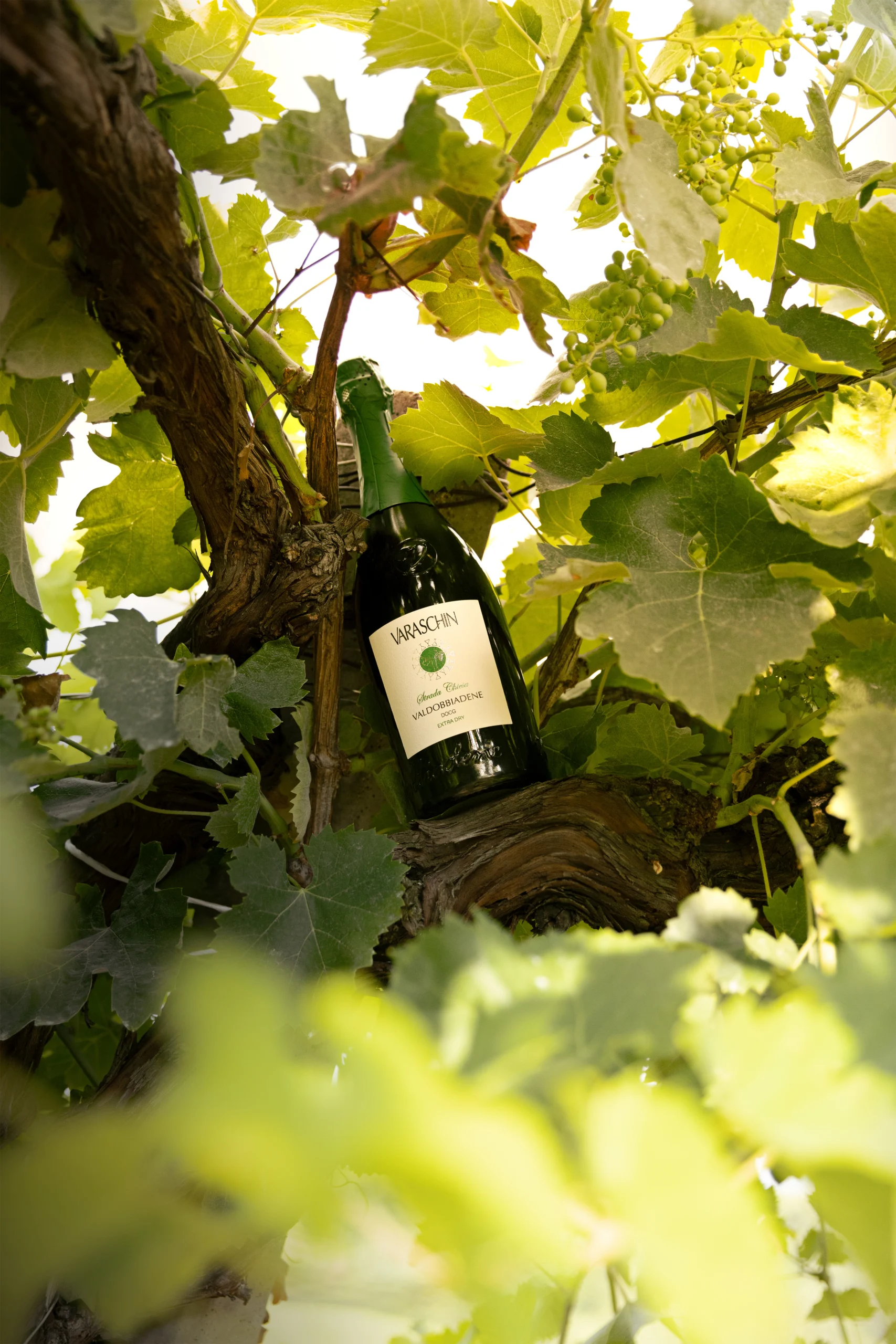 Varaschin Valdobbiadene DOCG Strada Chiesa